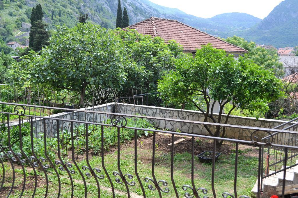 קוטור Apartments Villa Marta - Begovic מראה חיצוני תמונה